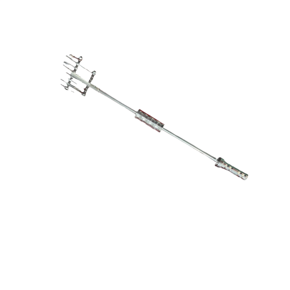 Proseth Aslan Pençesi