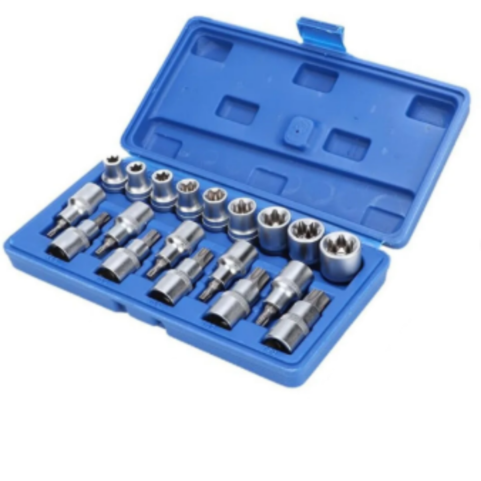 19 Parça E ve Torx Lokma Seti